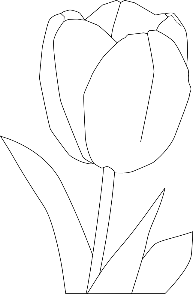 Coloriage tulipe