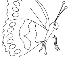 Coloriage papillon enfant