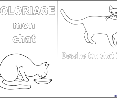 Colorie et dessine le chat